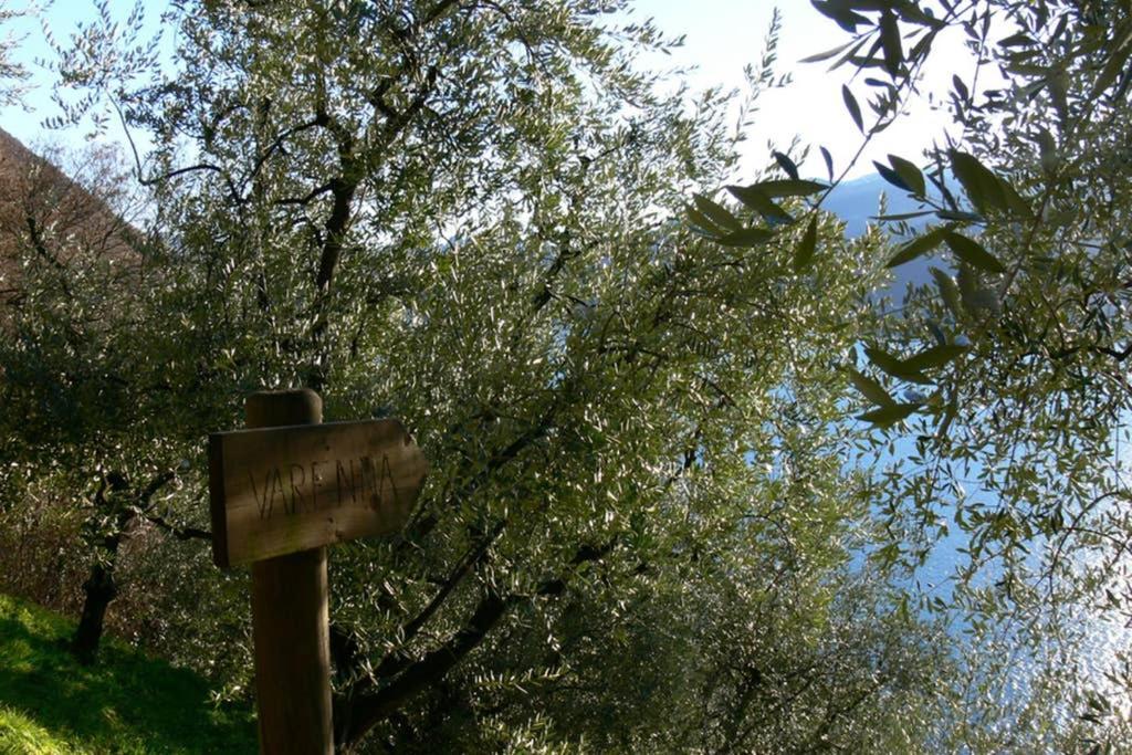 Luci Sul Lago - A Real Paradise Perledo Exteriör bild