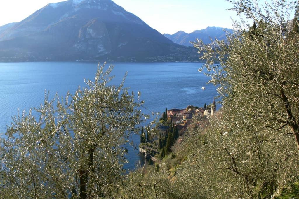 Luci Sul Lago - A Real Paradise Perledo Exteriör bild