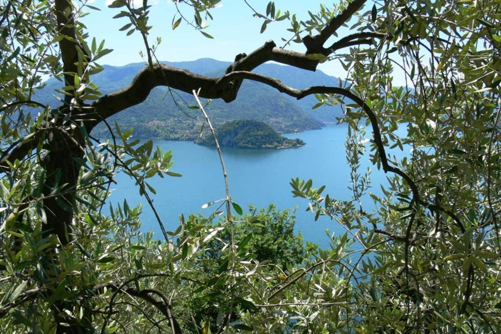 Luci Sul Lago - A Real Paradise Perledo Exteriör bild