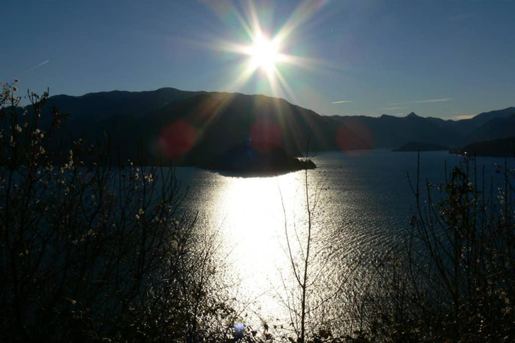 Luci Sul Lago - A Real Paradise Perledo Exteriör bild